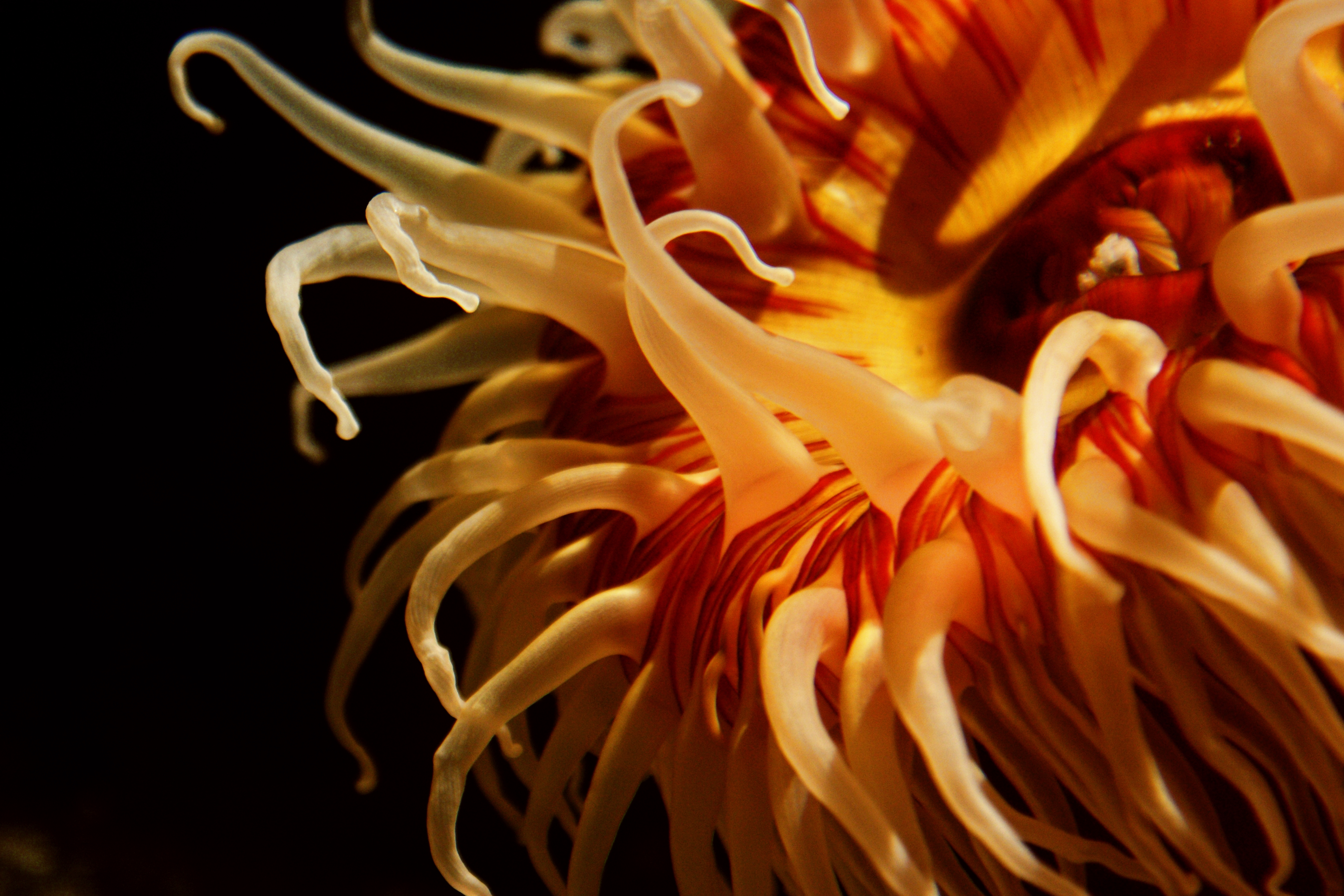 Free HTML5 Template by uicookies.com